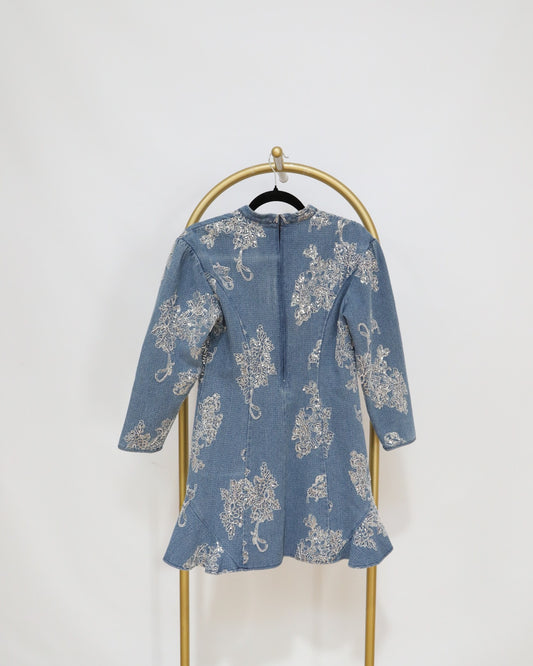 Mini Embroidered Denim Dress - Blue